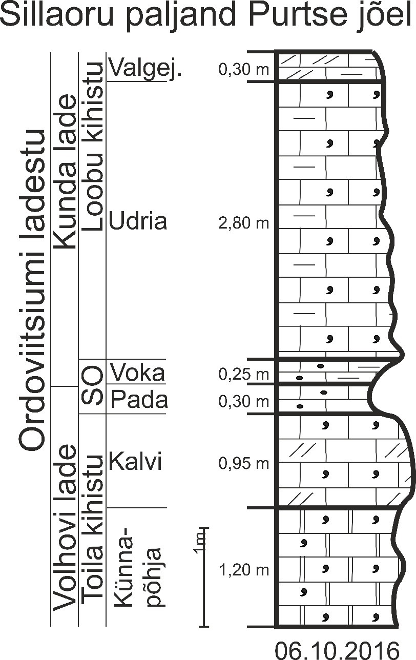 Purse jõel Sillaoru paljandi läbilõige. (SO – Sillaoru kihistu, Valgej. – Valgejõe kihistik, Udria – Udria kihistik, Voka – Voka kihistik, Pada – Pada kihistik, Kalvi – Kalvi kihistik, Künnapõhja – Künnapõhja kihistik)(joonis: Paiste T.)