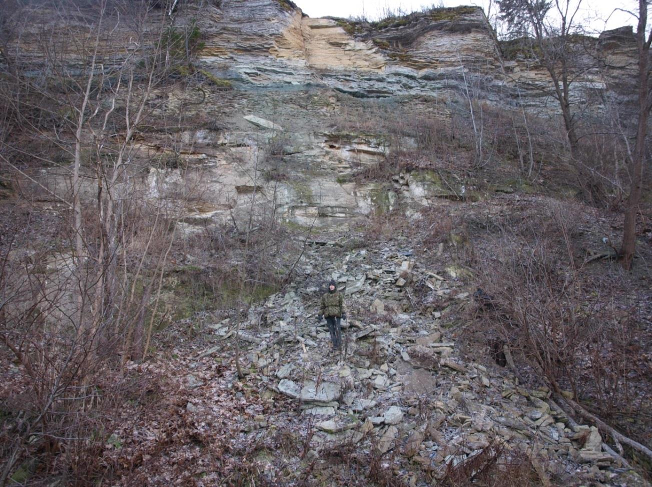 Rannamõisa pank. Läibilõike koht, näha kihistud Tiskrest Toilani (foto: T. Ani, 2013).