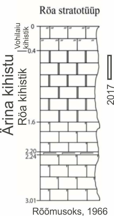 Röa stratotüübi läbilõige (Nedzoli, 2013, Rõõmusoks, 1966 põhjal). Ristkülikuga on märgitud 20.06.2017 arvatav paljanduv osa.