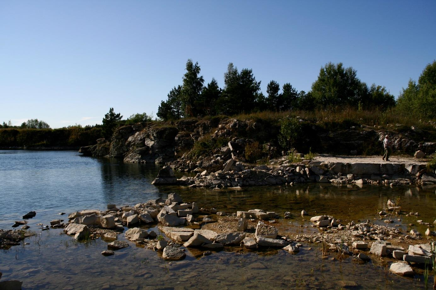 Üldvaade kunagisele Rummu karjääri idaosa põhjakaldal asuvale paljandile (foto: T. Meidla, 2013).