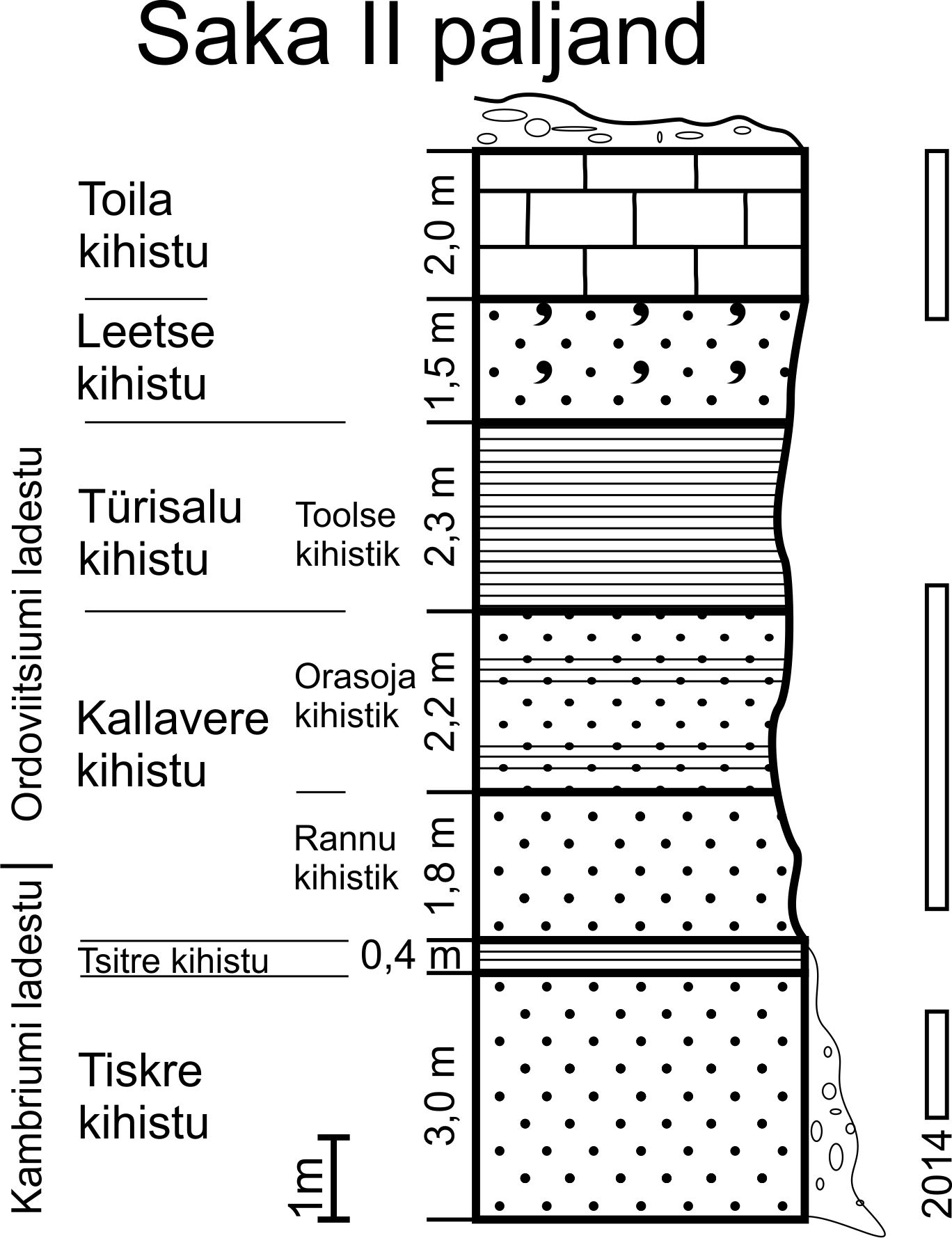 Saka II läbilõige I. Puura (1996, lk. 13, joonis 30) järgi (joonis: T. Paiste).