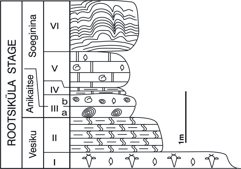 Soeginina panga läbilõige (Meidla et al., 2014).