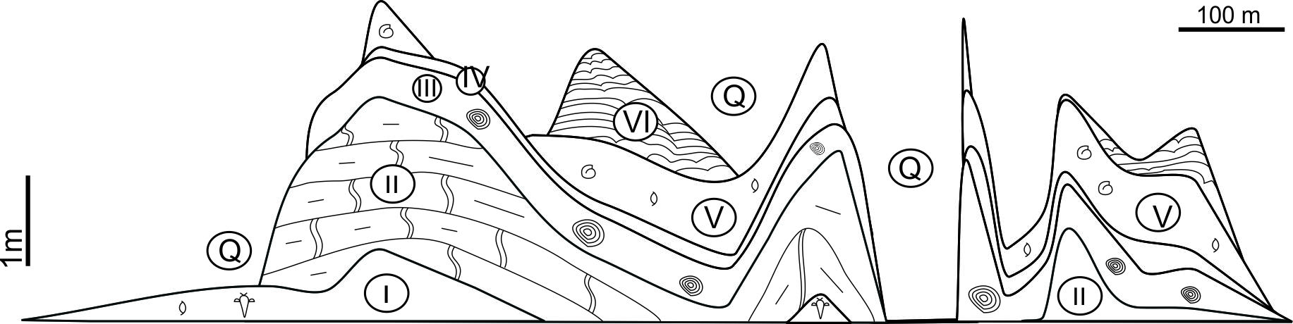 Soeginina panga läbilõike varieeruvus (Meidla et al., 2014).