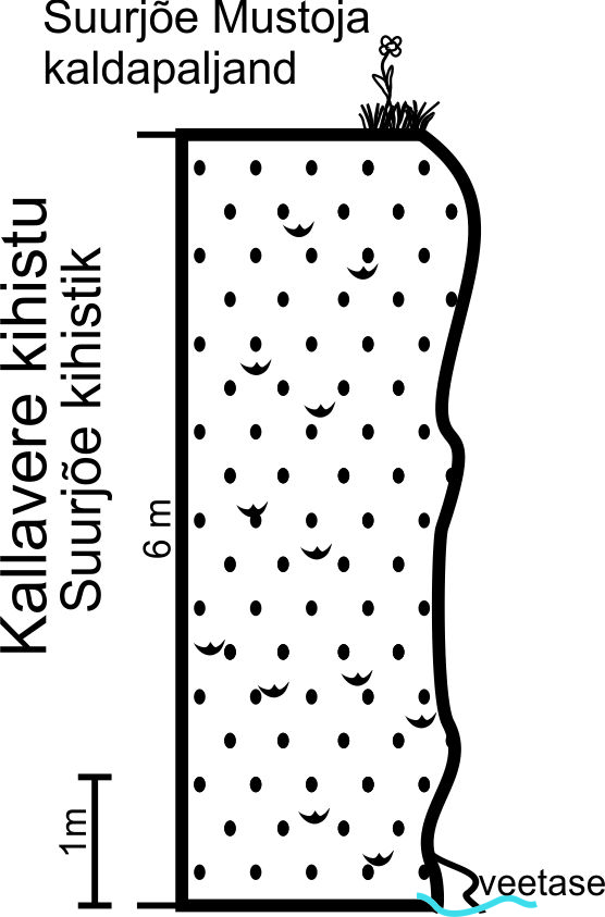 Suurjõe Mustoja kaldapaljandi läbilõike joonis, 2014 (T. Paiste).