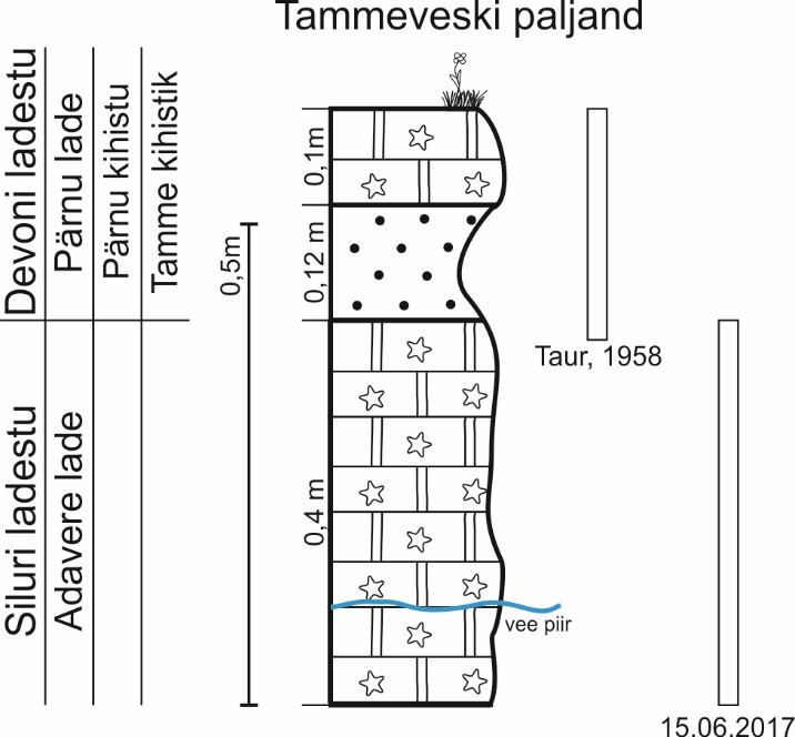 Tammeveski paljandi läbilõige. Paljanduvad Siluri ladestu Adavere lademe dolokivi ja Devoni ladestu Pärnu lademe liivakivi ning dolokivi. Ristkülikutega on märgitud paljanduva osa paksus võrreldes koondläbilõikega (joonis: Paiste T.).