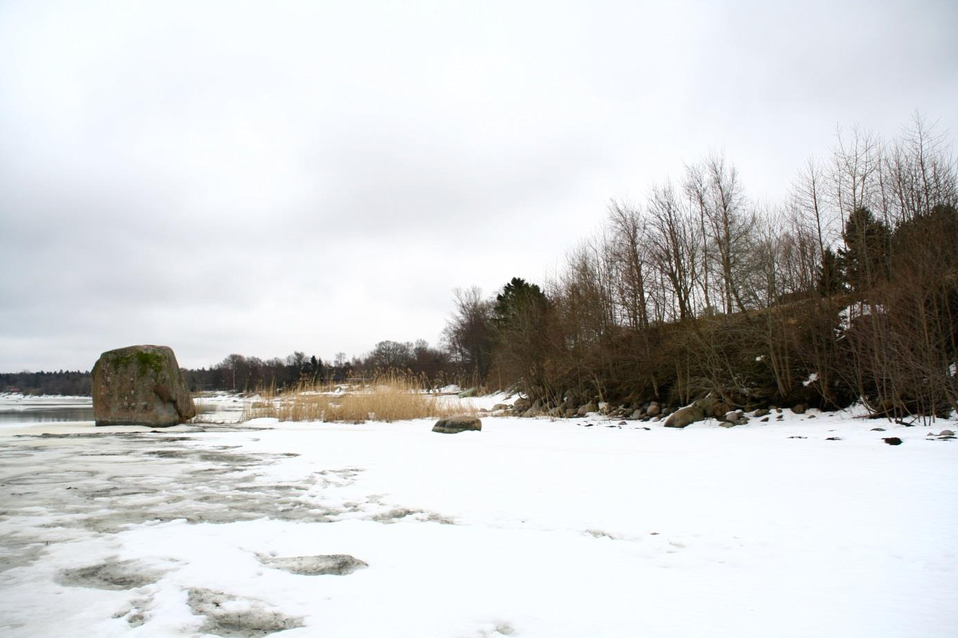 Tammneeme paljand, vaade lõuna suunas (foto: S. Soomer, 2013).