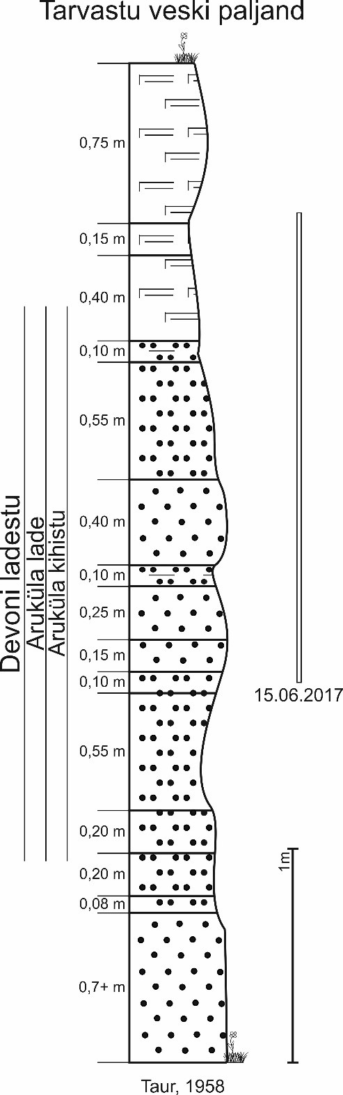 Tarvastu veski paljandi läbilõige. Tauri (1958) andmetel paljanduvad Aruküla kihistu merglid, aleuroliidid ja liivakivid. Ristkülikuga on märgitud 15.06.2017 paljanduv osa (joonis:  Paiste T.).