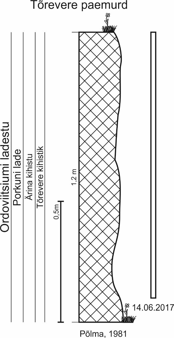 Tõrevere paemurru läbilõige Põlma (1981) alusel, ristkülikuga näidatud 2017. aastal paljanduva läbilõike osa. (joonis: Paiste T.)