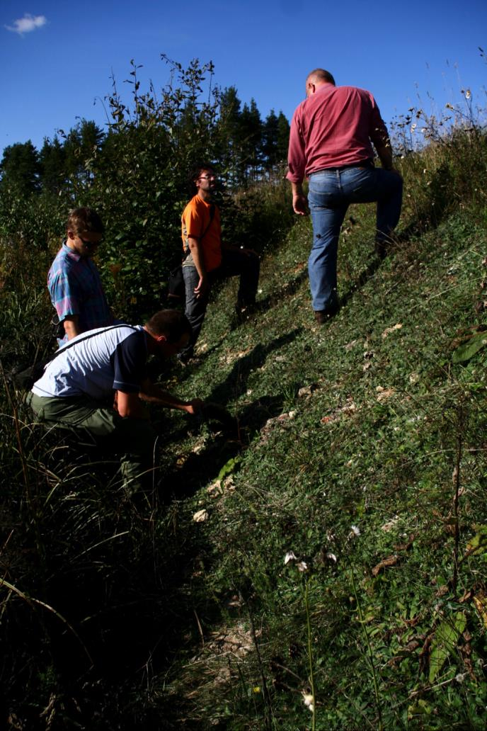 Tõrremäe kuivenduskraavi kamardunud nõlv, kus leidub lahtisi lubjakivitükke (foto: S. Soomer, 2013).