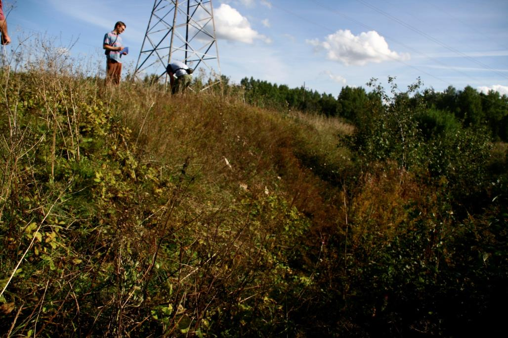 Tõrremäe võsastund kuivenduskraav (foto: S. Soomer, 2013).