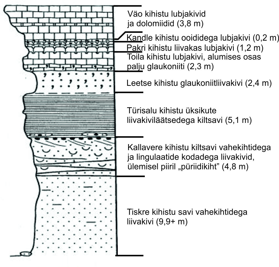 Türisalu panga koondläbilõige (Mens ja Miidel, 2003).