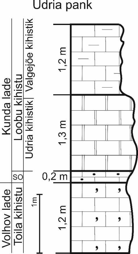 Udria panga lubjakivide läbilõige. Paljandvad Toila kihistu glaukoniitlubjakivid, Sillaoru kihistu raudooidlubjakivid ja Loobu kihistu lubjakivid. (joonis: Paiste T.) SO – Sillaoru kihistu.