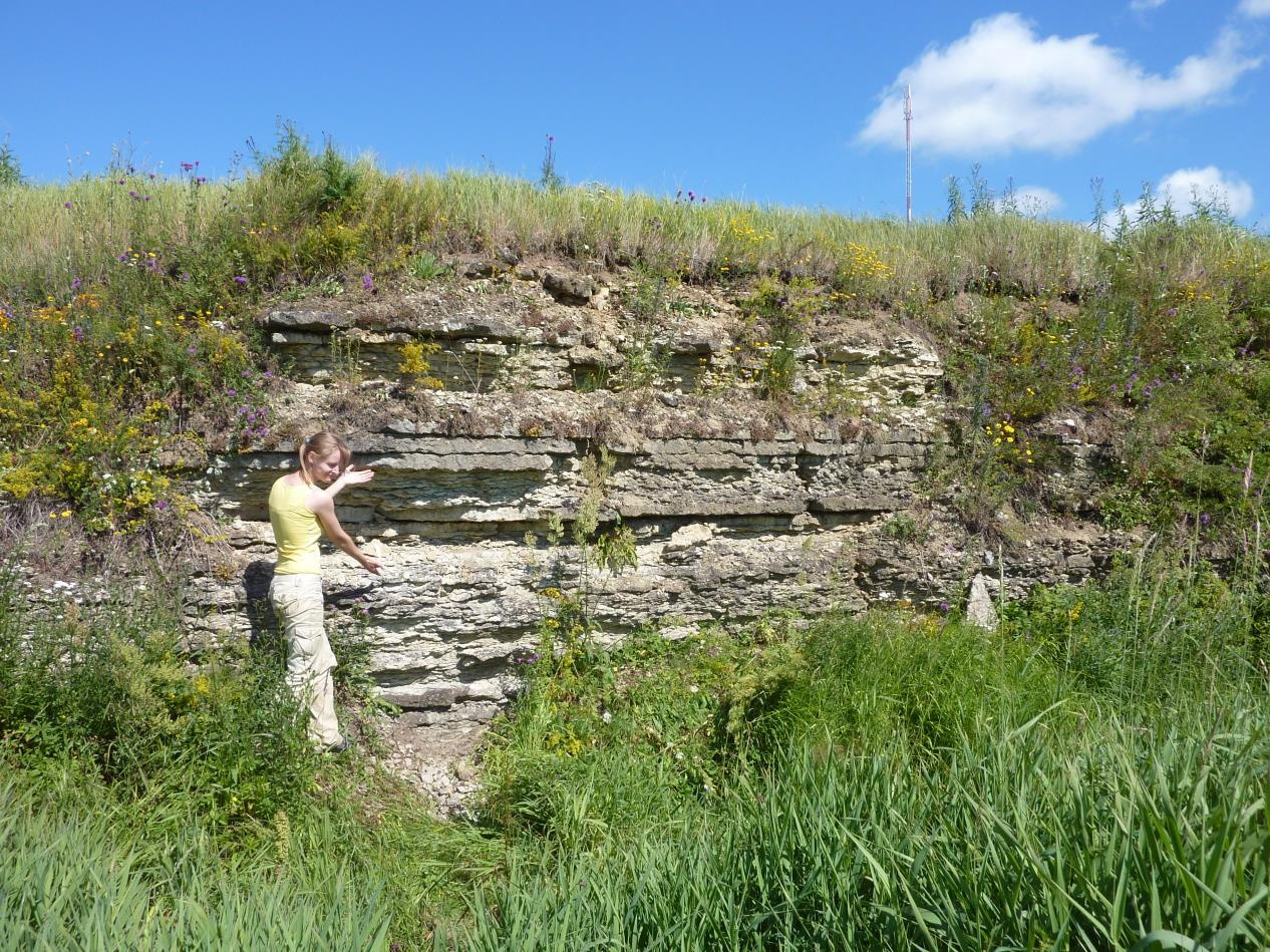 Uhaku säng, Uhaku lademe stratotüüpne paljand (foto: T. Paiste, 2014).