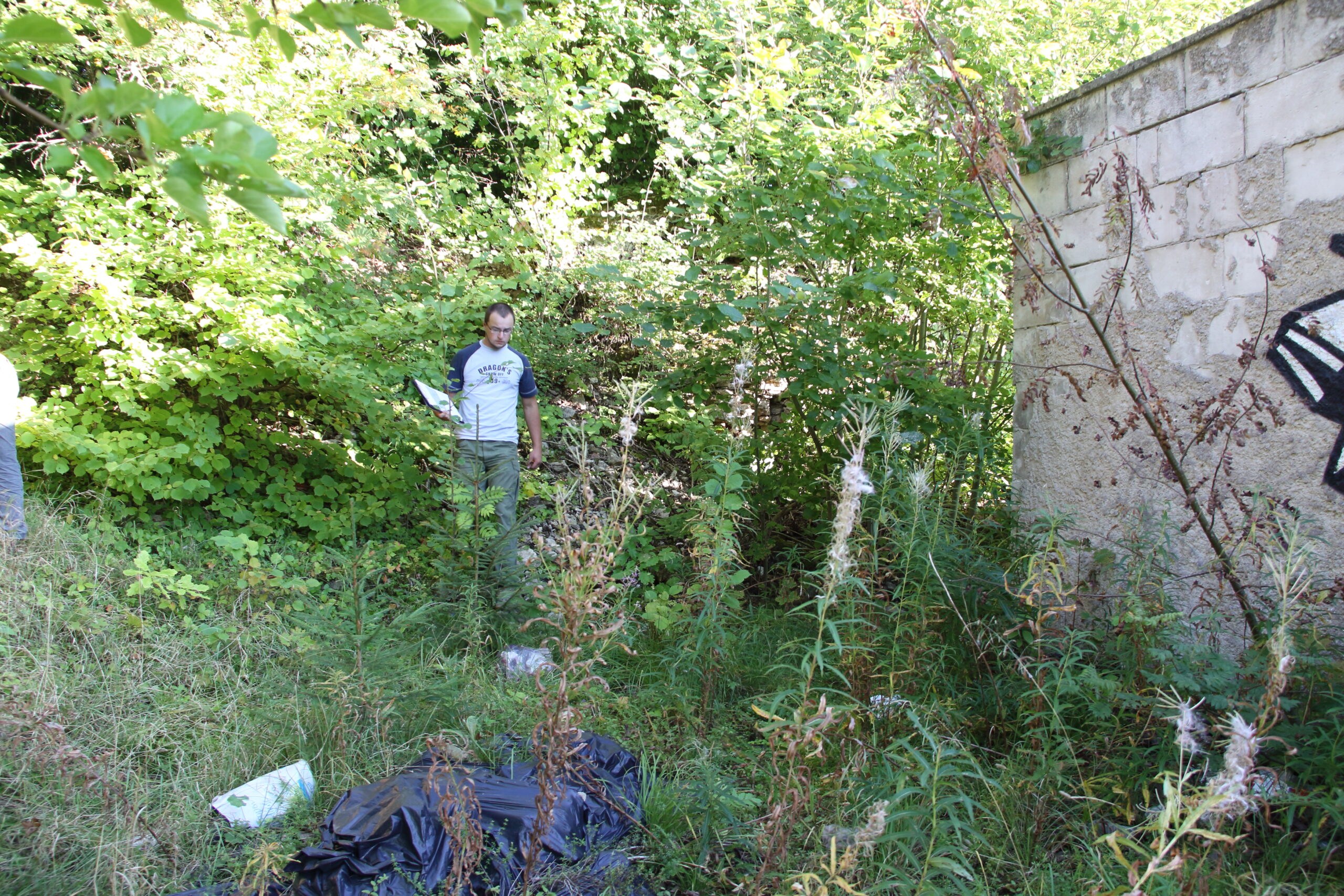 Ussimäe paljandi asukoht võsastunud alal (foto: T. Meidla, 2014).