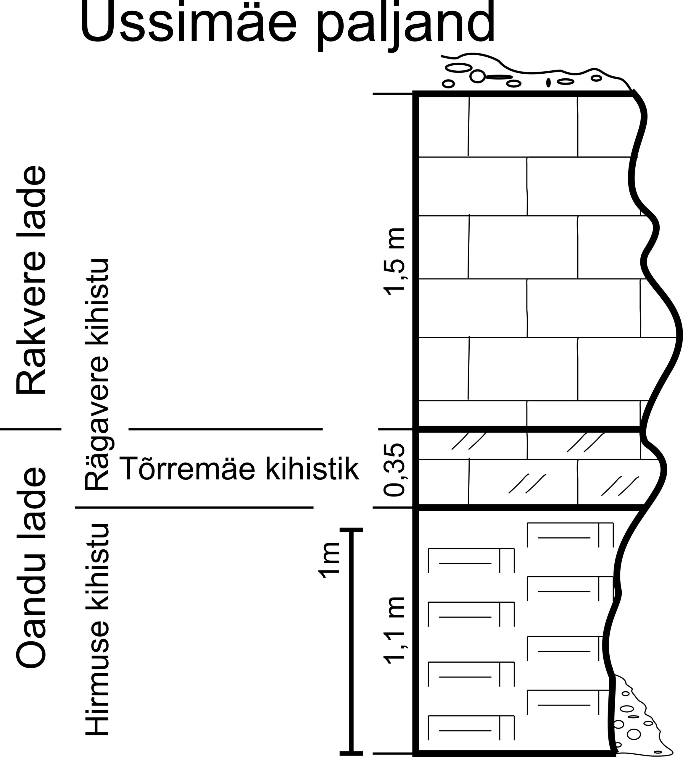 Ussimäe paljandi läbilõige Meidla (1996) järgi. (joonis: Paiste T.)