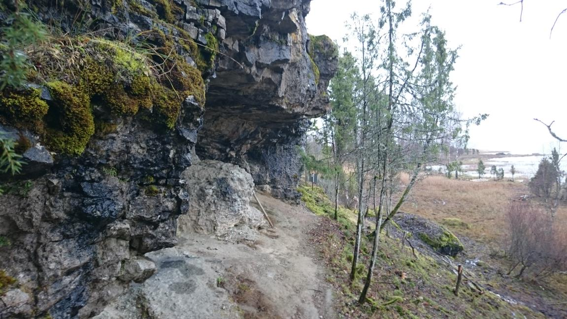 Hooldatud Üügu panga alune nõlv. (foto: 2015, Meidla T.)