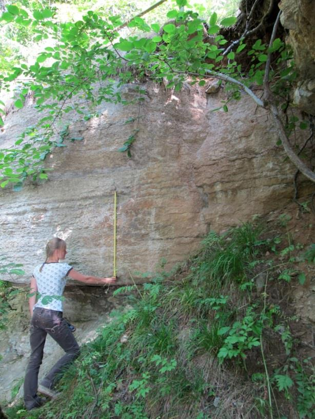 Valgejõe paljandis paljanduv Valgejõe kihistik (pildil inimese käest alates kõrgemale) (foto: T. Paiste, 2013).