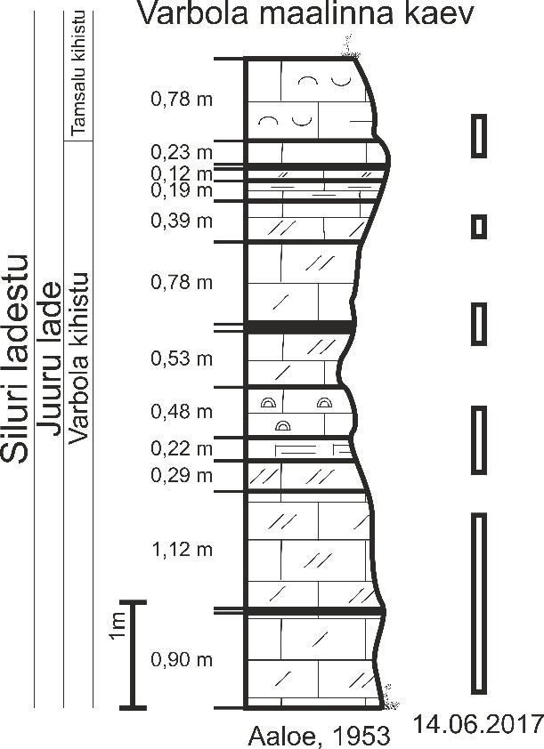 Varbola maalinnuse kaevu läbilõike joonis Aaloe (1953) alusel. 2017. aastal paljanduvad läbilõikeosad märgitud ristkülikutega (joonis: Paiste T.).