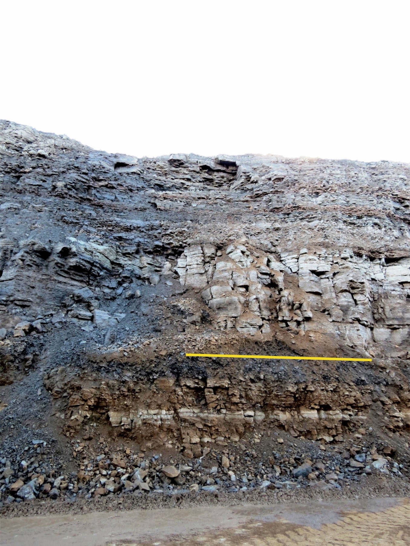 Viivikonna kihistu ja lasuva Narva kihistu kontakt Narva karjääris. (foto: T. Meidla)