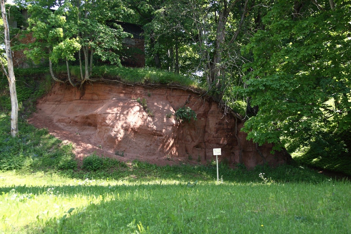 Viljandi lossimägede paljand (foto: T. Meidla, 2017).