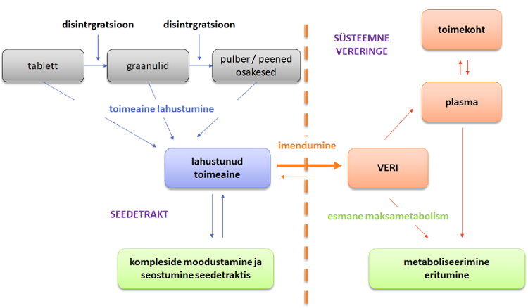 Joonis 1.  Ravimi manustamise järgsed protsessid organismis.