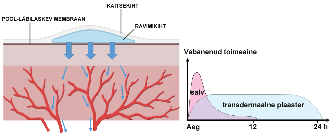 Joonis: Nahale kantavad ravimvormid ja toimeaine vabanemise kiirus nendest