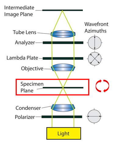 Fig1_PLM