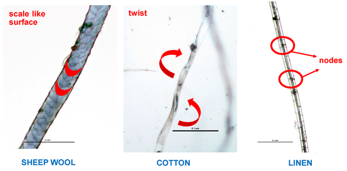 Fig3_natural_fibres