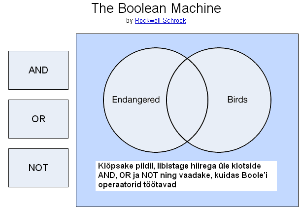 boolean