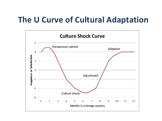 Culture shock curve