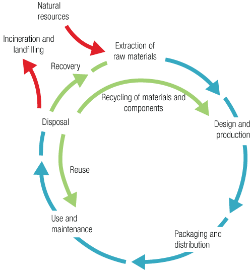 Product life cycle