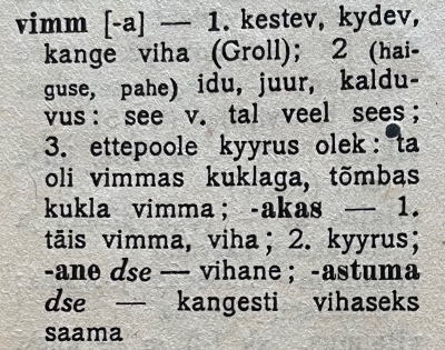 Johannes Aavik, Uute sõnade ja vähem tuntud sõnade sõnastik (1921)