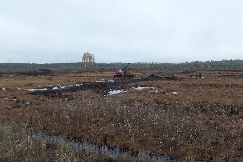 Laiuse restoration area