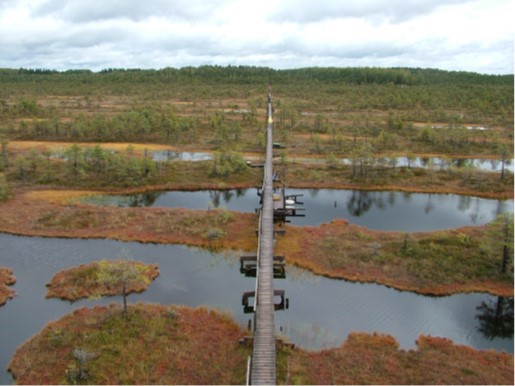 Männikjärve raised bog