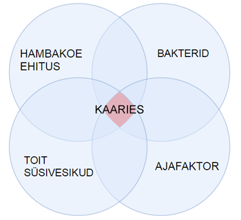 Hambakaariese tekkepõhjused.