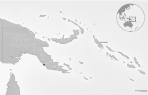 Bougainville map