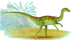 tekodont1