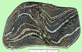 gneiss4