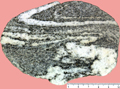 para_gneiss1