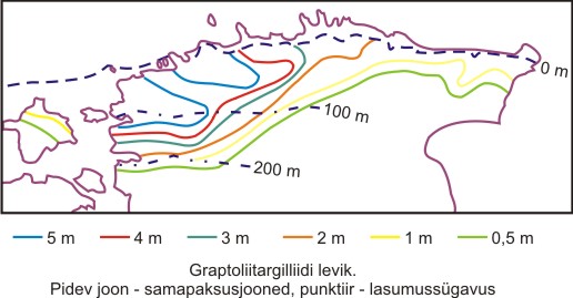 dictyonema