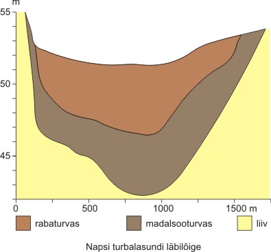 napsi1