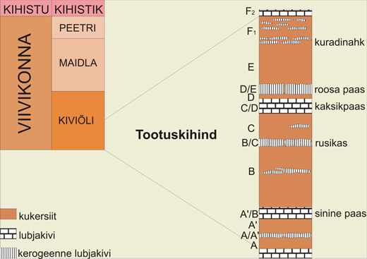 tootus1.a