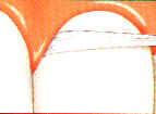 Niidiga