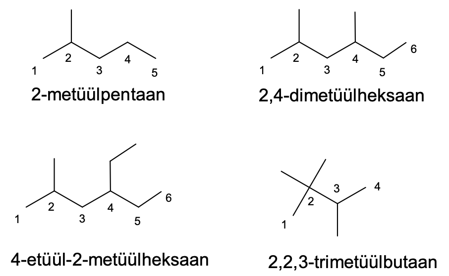 pilt