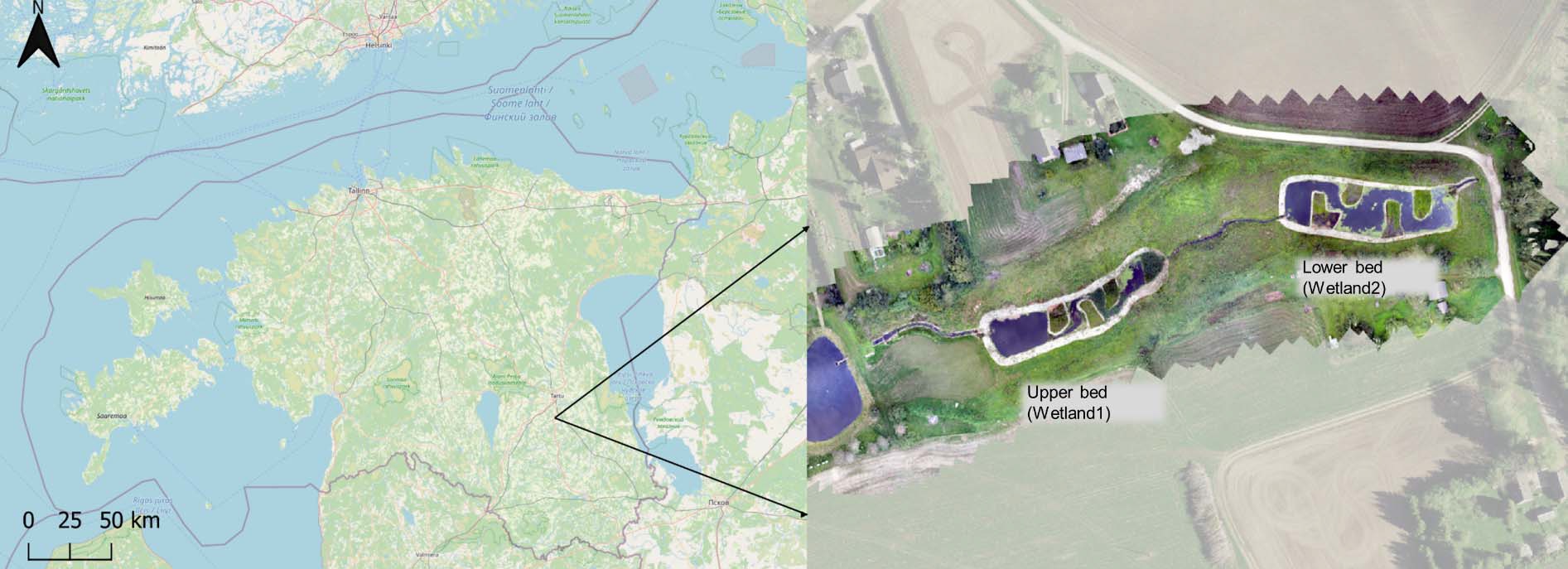 From Kill Keit. 2022. Nutrient_fluxes_regulation_in_an_in-stream constructed wetland treating polluted agricultural runoff