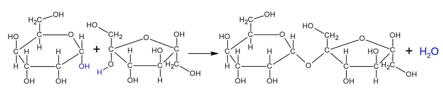 Sahharoosi tekkimine