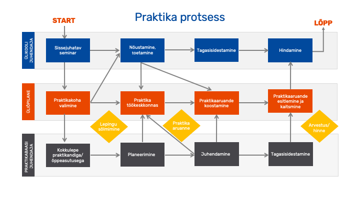 Praktika protsessi joonis