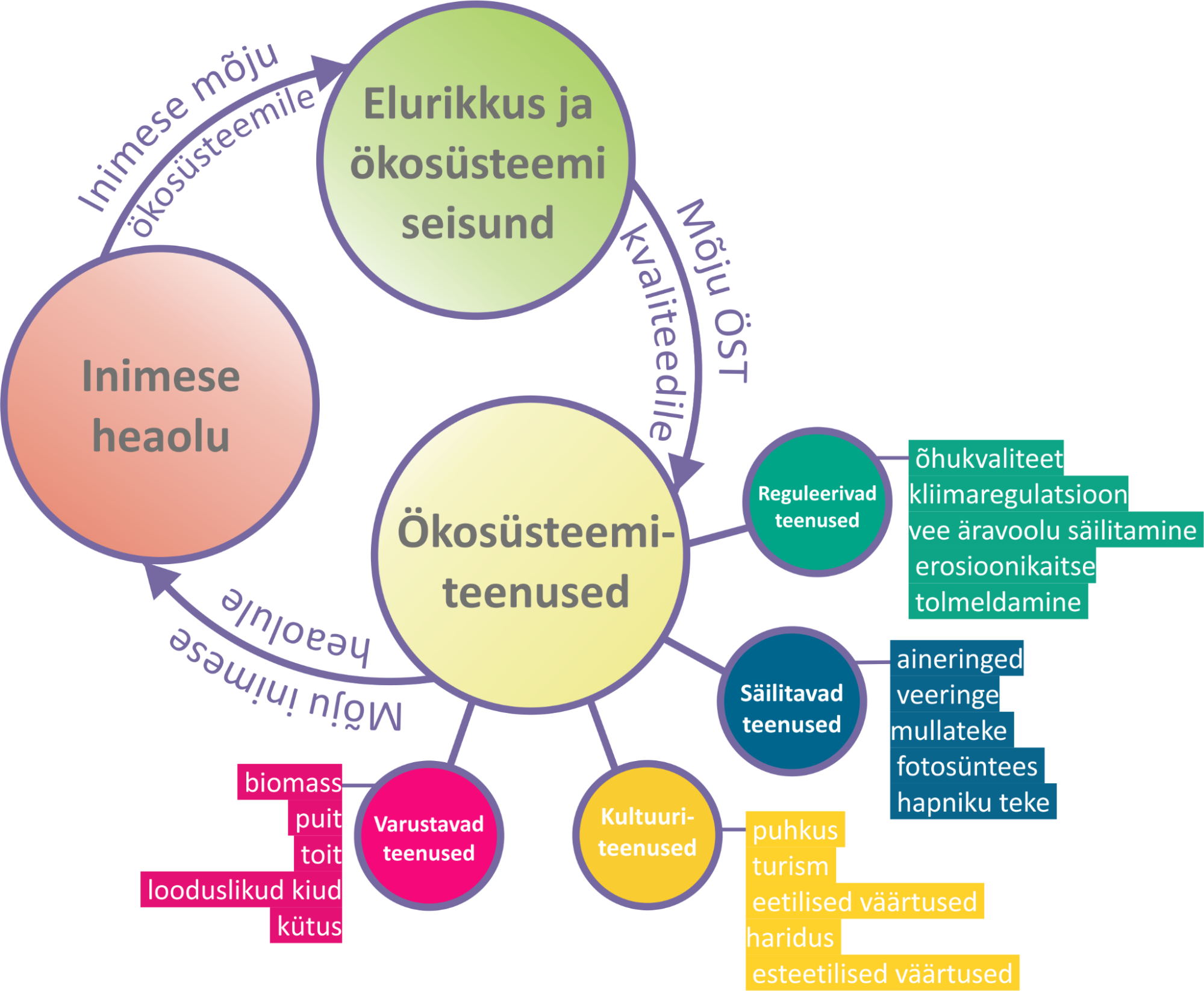 Inimese heaolu seos ökosüsteemiteenustega (ÖST) ning ÖST klassifikatsioonid