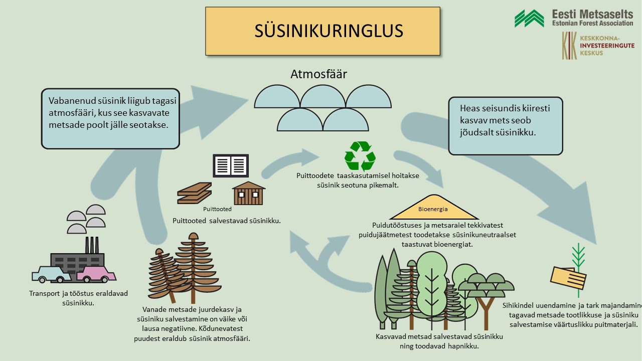 Süsinikuringe nooltega