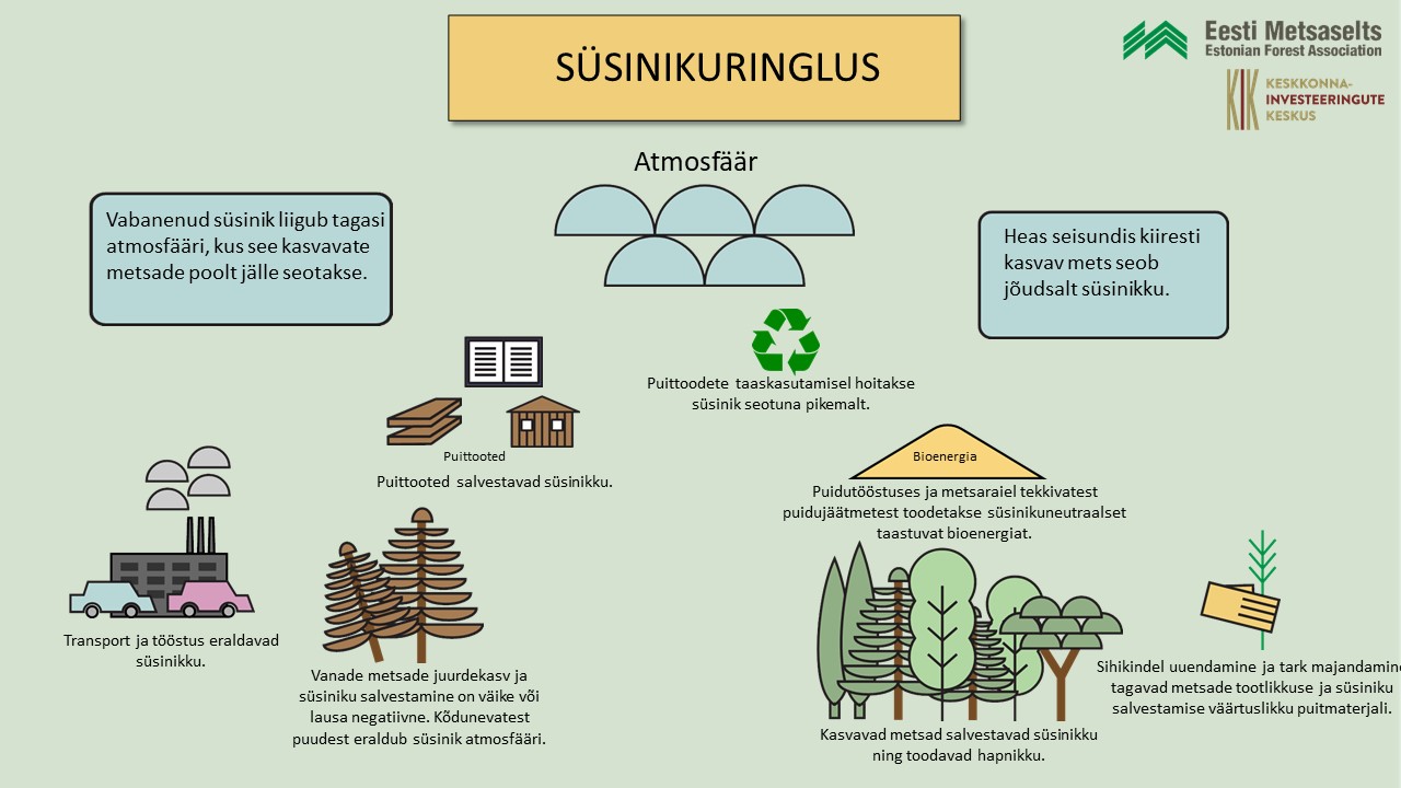 Süsinikuringe noolteta